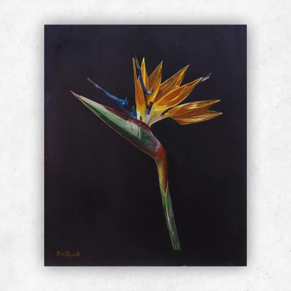 Julie Tugwell Art <br> Strelitzia <br> Oil on Board <br> 250 mm x 300 mm - Image 2