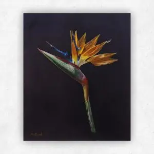 Strelitzia — Oil on Board, 250 × 300 mm