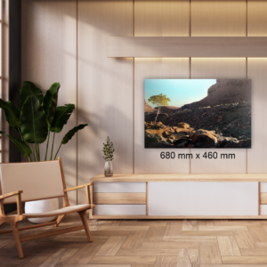 410 by James Mooney, 680 mm x 460 mm