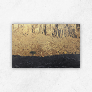 James Mooney 377N — 730 × 510 mm