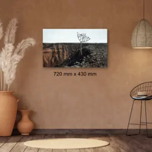 386 by James Mooney, 720 mm x 430 mm