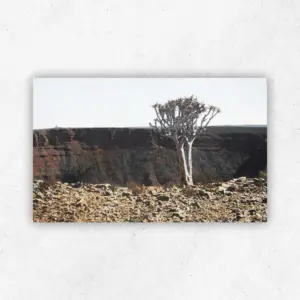 James Mooney 387 — 750 × 420 mm