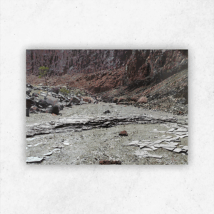 James Mooney 389 — 700 × 510 mm