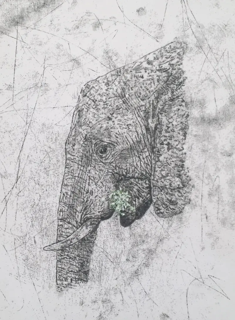 Painting by Julie Tugwell